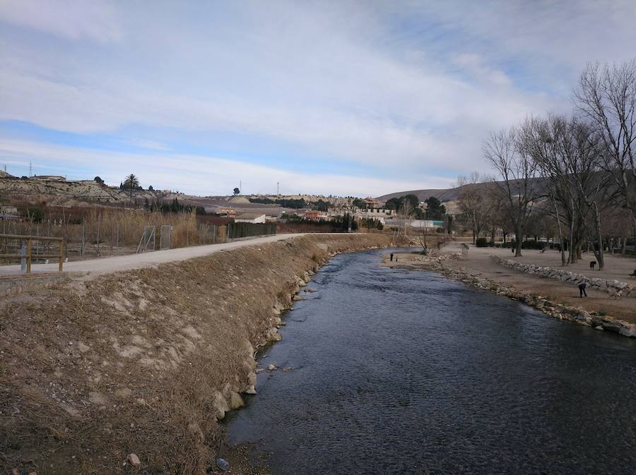 El Paseo Ribereño de Cieza es un secarral pese a que el proyecto incluía la plantación de miles de árboles. El Ayuntamiento acusa a Acuamed de entregar la obra con la vegetación seca y la empresa pública alega problemas técnicos, vandalismo y una plaga de insectos