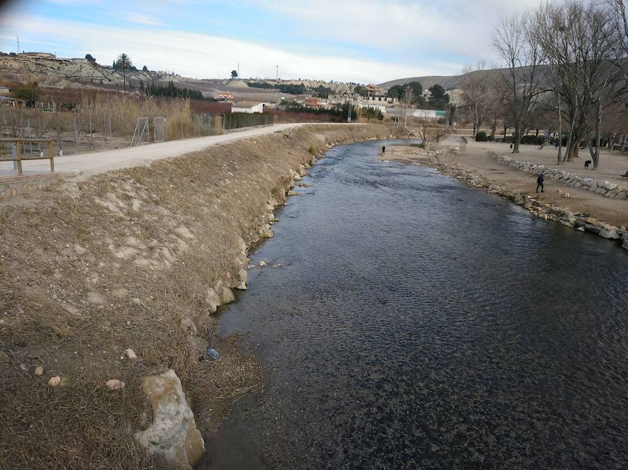 El Paseo Ribereño de Cieza es un secarral pese a que el proyecto incluía la plantación de miles de árboles. El Ayuntamiento acusa a Acuamed de entregar la obra con la vegetación seca y la empresa pública alega problemas técnicos, vandalismo y una plaga de insectos