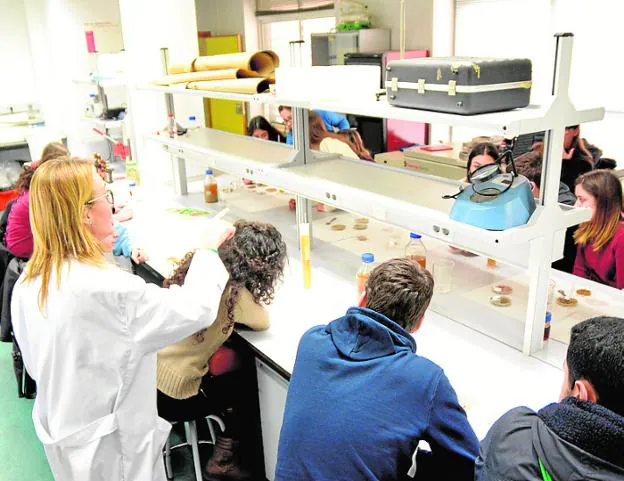 Un grupo de estudiantes, durante uno de los talleres.