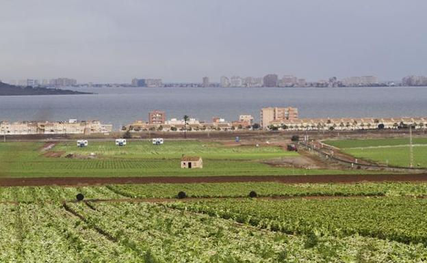 Cultivos junto al Mar Menor. 