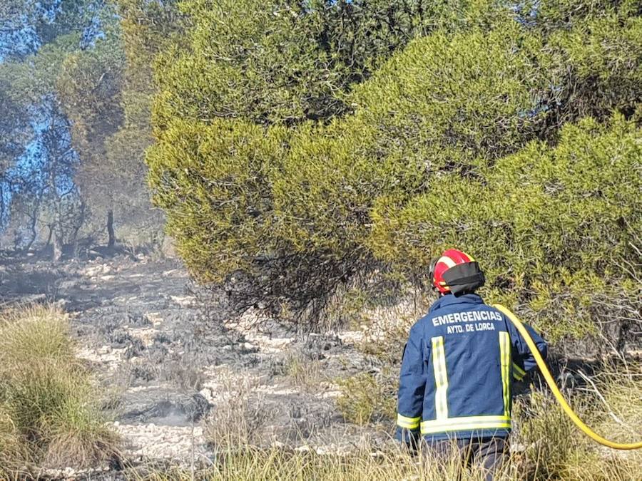 El área afectada es de aproximadamente media hectárea de esparto y pinos en el paraje Los Alagüeces
