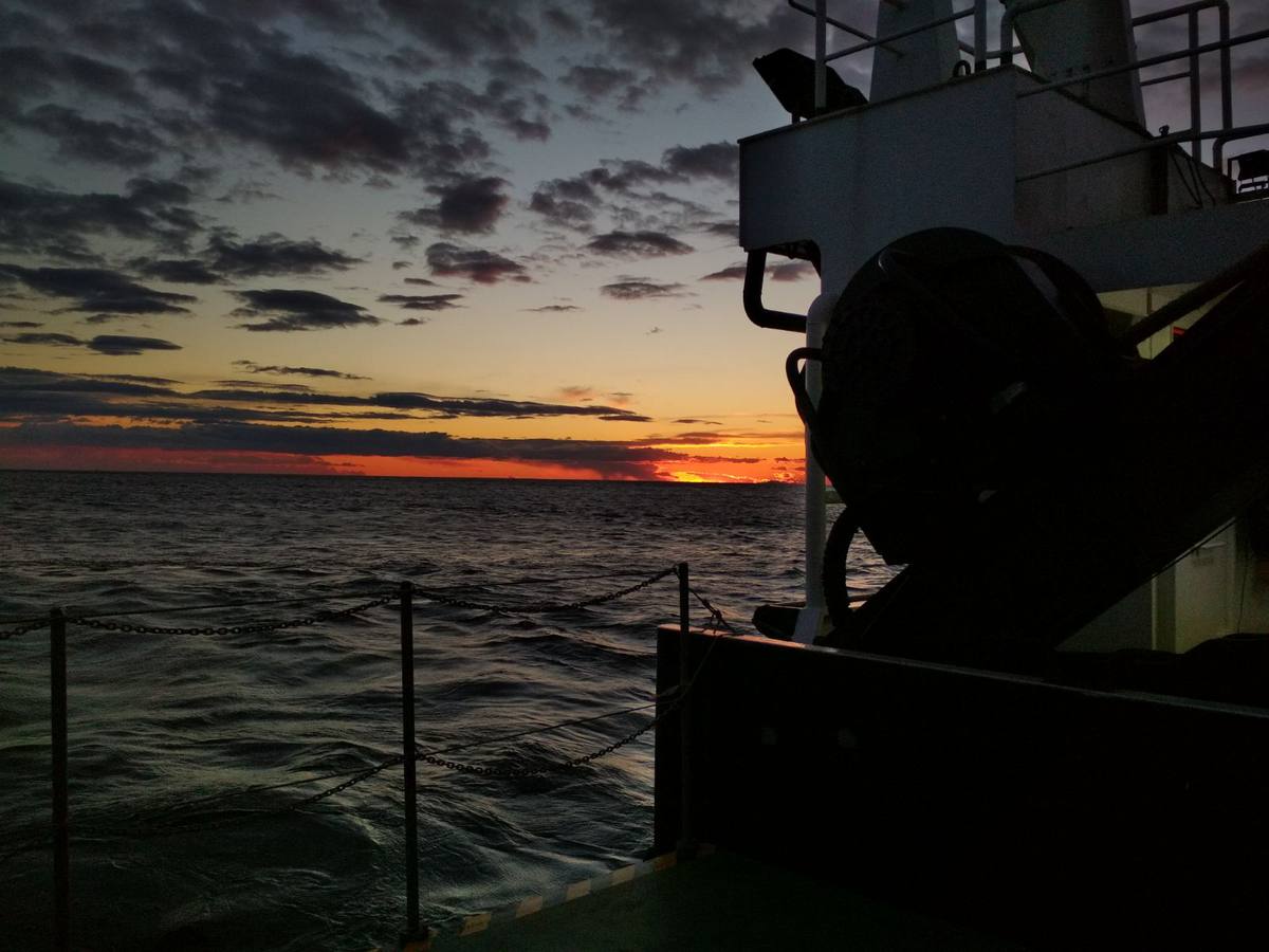 Científicos del IEO y la Universidad de Alicante cartografían por primera vez los cañones submarinos de Cabo Tiñoso y el Gorguel