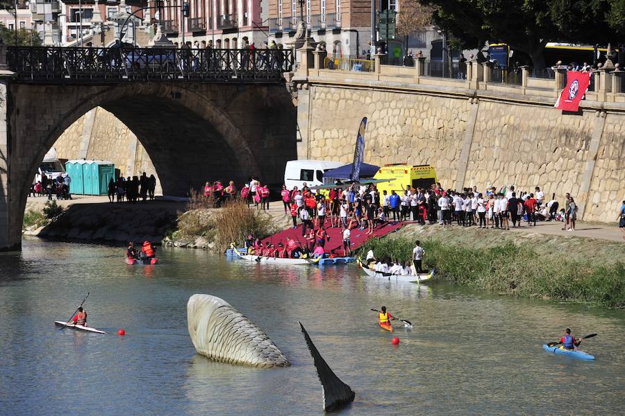 Repasa las mejores fotos de la prueba que ha llenado de piraguas el Segura