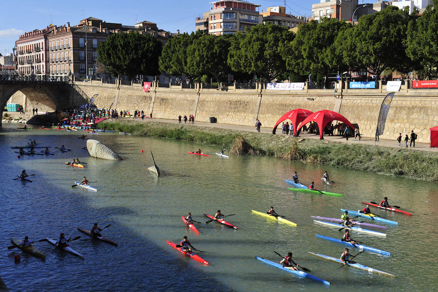 El Murcia Remo venció al equipo de la Policía Nacional en una carrera de barcos dragón