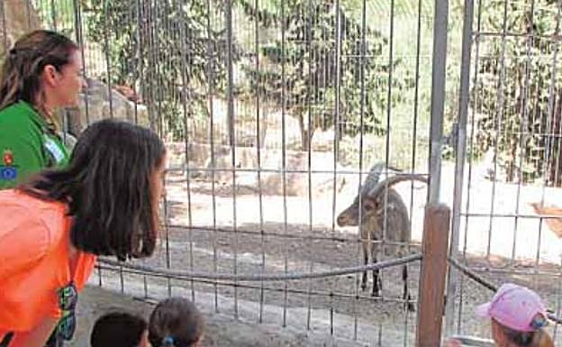 Nutrias, búhos y jabalíes posarán para jóvenes artistas