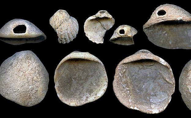 Una investigación atribuye a los neandertales el uso de adornos corporales en conchas