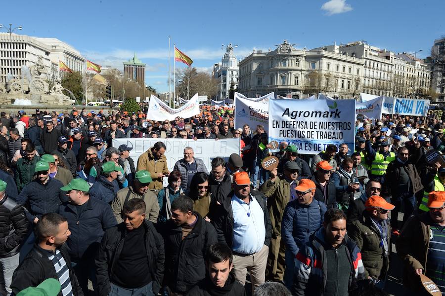 Miembros de la organización aseguran que la asistencia a la histórica marcha ronda las 50.000 personas.