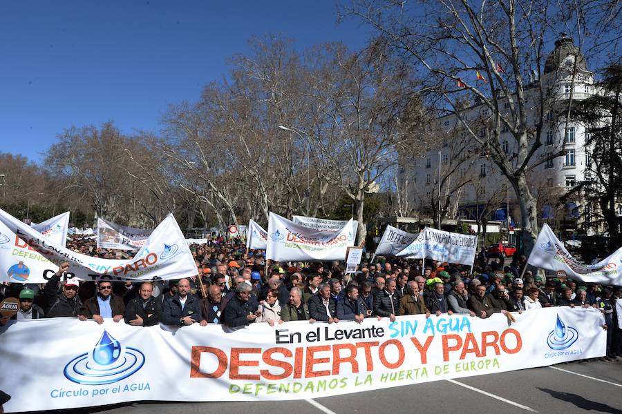 Miembros de la organización aseguran que la asistencia a la histórica marcha ronda las 50.000 personas.