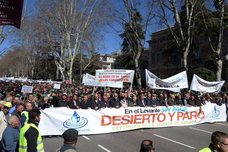 Miembros de la organización aseguran que la asistencia a la histórica marcha ronda las 50.000 personas.