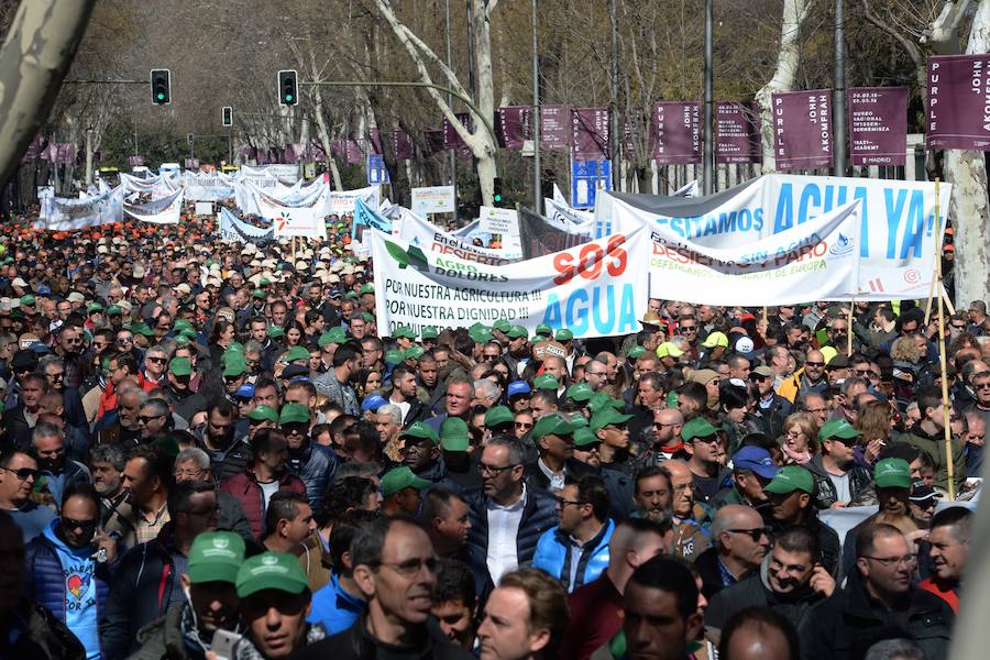 Miembros de la organización aseguran que la asistencia a la histórica marcha ronda las 50.000 personas.