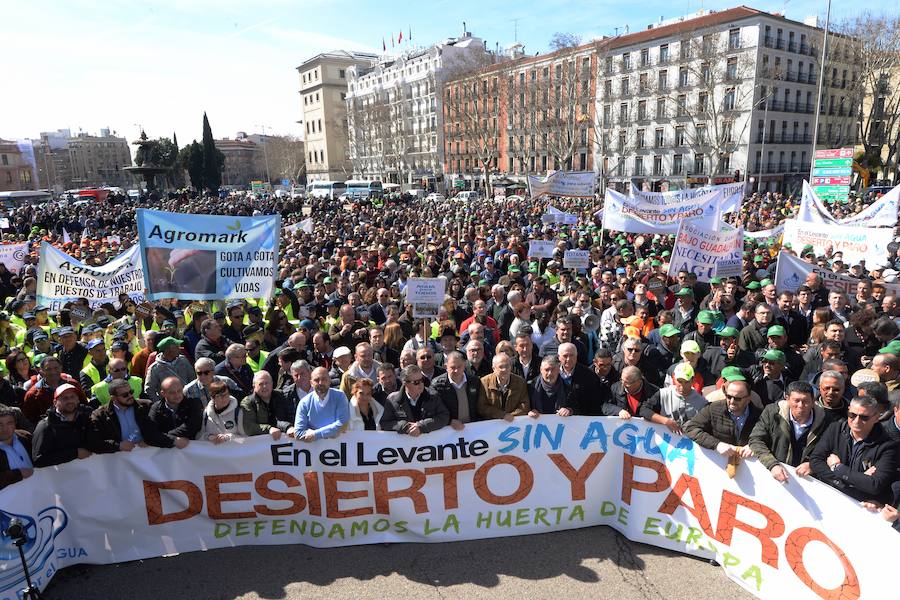 Miembros de la organización aseguran que la asistencia a la histórica marcha ronda las 50.000 personas.