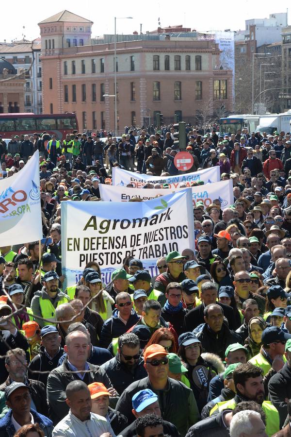 Miembros de la organización aseguran que la asistencia a la histórica marcha ronda las 50.000 personas.