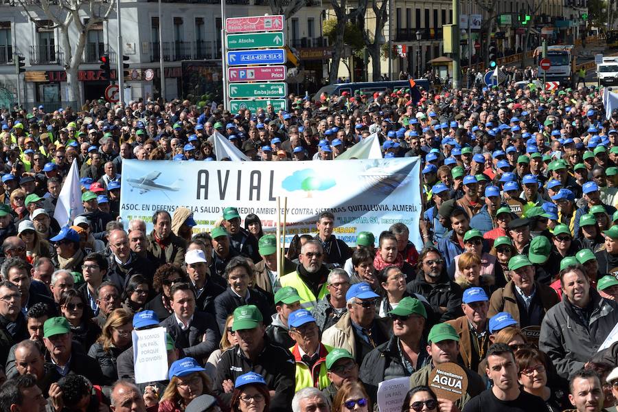 Miembros de la organización aseguran que la asistencia a la histórica marcha ronda las 50.000 personas.
