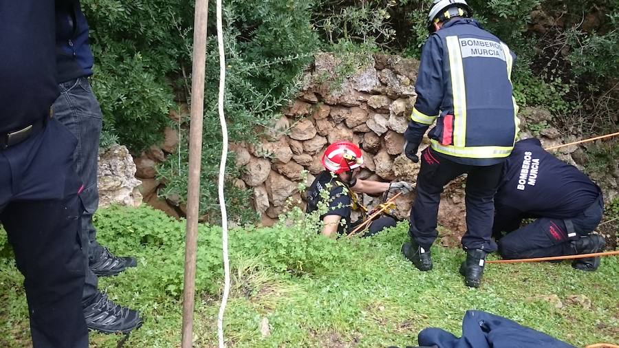 Efectivos voluntarios del cuerpo de bomberos de Murcia se han desplazado hasta la provincia de Almería para tratar de encontrar al pequeño