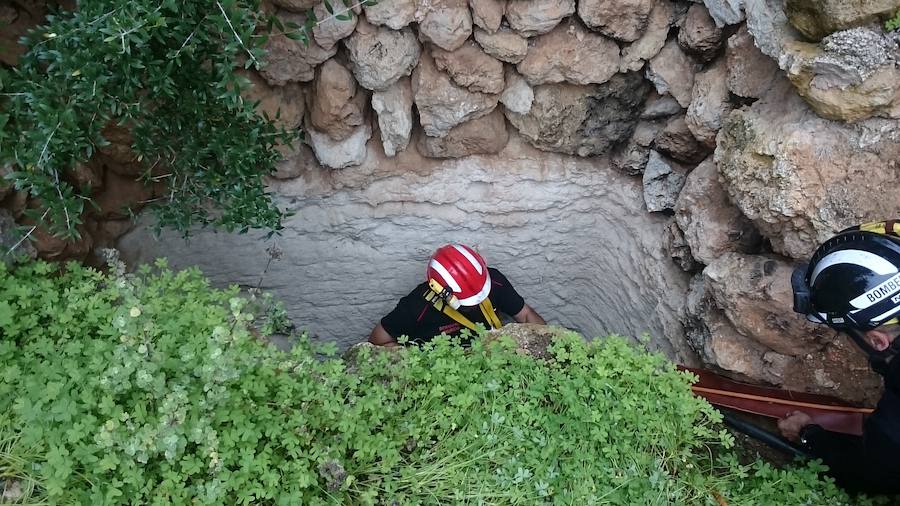 Efectivos voluntarios del cuerpo de bomberos de Murcia se han desplazado hasta la provincia de Almería para tratar de encontrar al pequeño