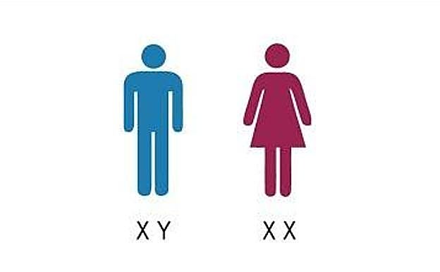 Güevedoces, las niñas a las que les crece el pene a los 12 años