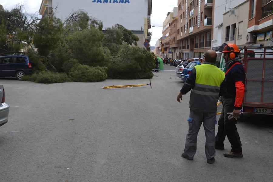 Se han alcanzado rachas de hasta 80 km/h