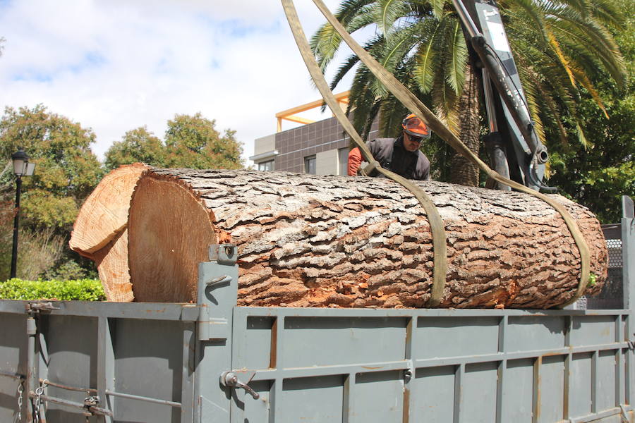 Se han alcanzado rachas de hasta 80 km/h