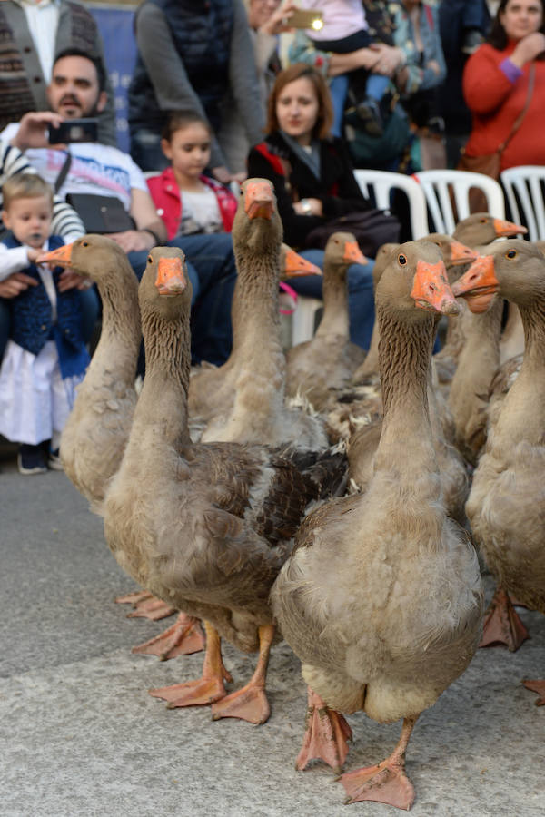 Un total de 300 personas y 17 grupos participaron en la tarde de este domingo en el cortejo de los pequeños huertanos, aperitivo del gran desfile del próximo martes