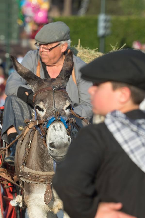 Las calles de Murcia se visten de costumbrismo en el desfile del Bando de La Huerta 2018