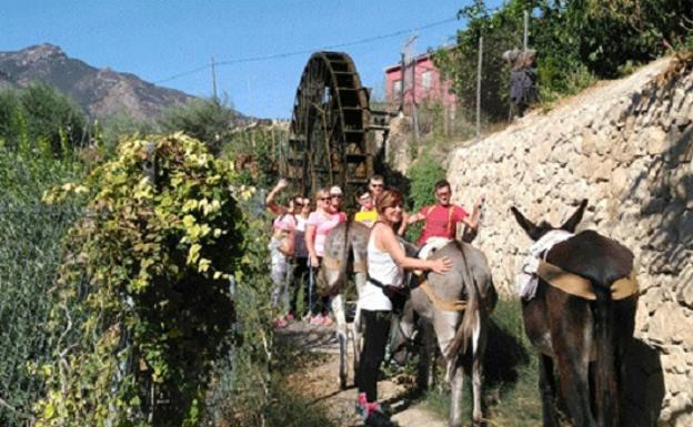 Excursión con burros.