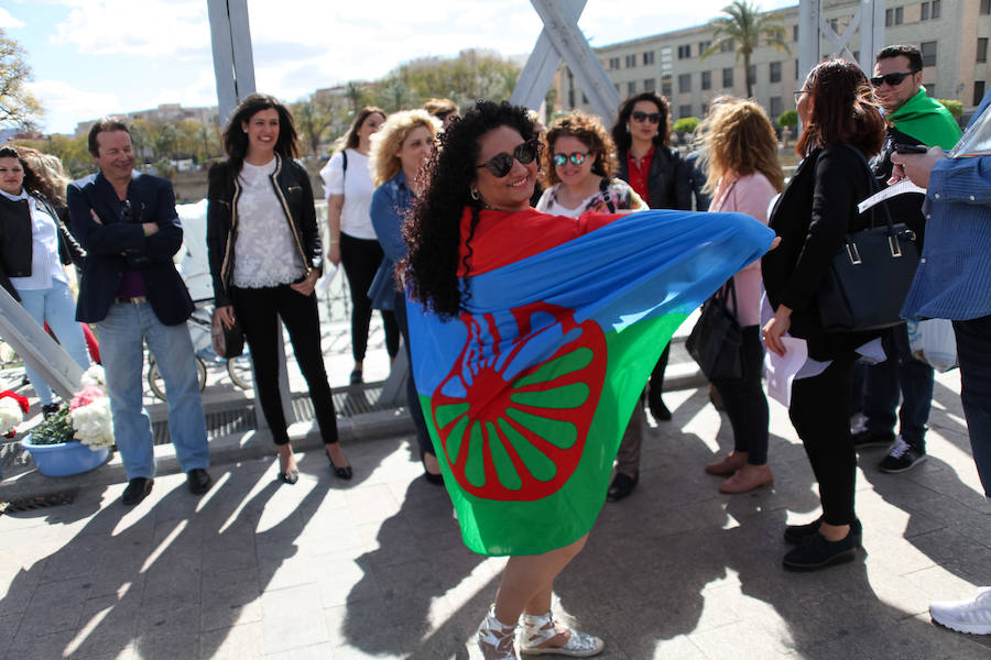 Fotos: Celebración del día del Pueblo Gitano en Murcia