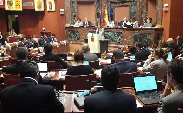 El Pleno de la Asamblea Regional.