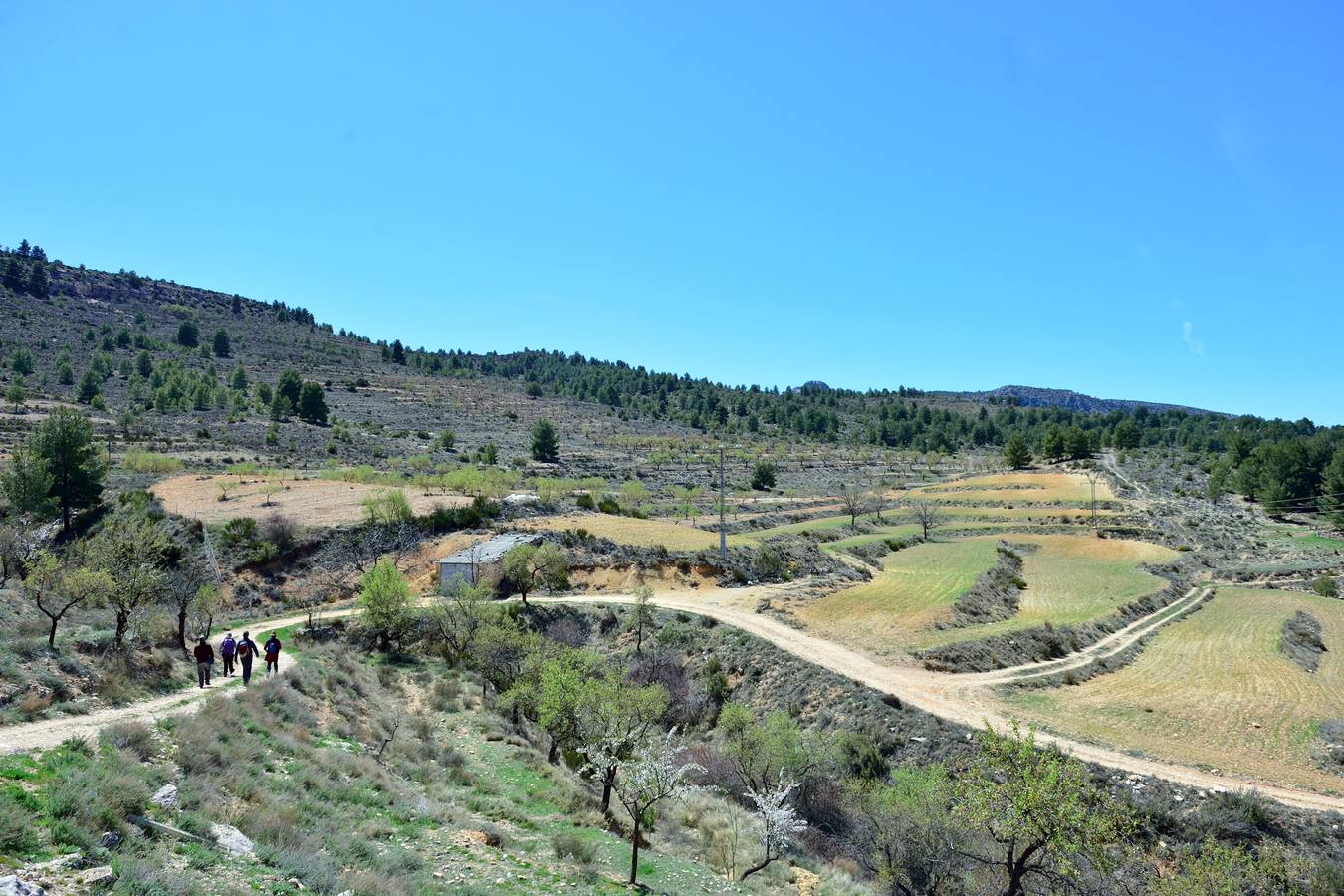 Fósiles, pozas y cursos de agua para disfrutar bajo los abrigos rupestres de los cortados del Torcal de Bojadillas