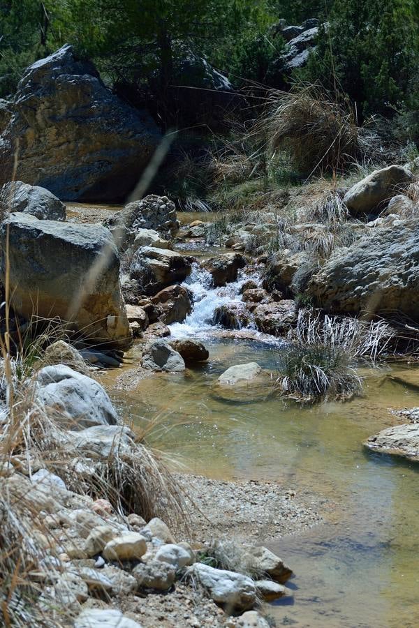Fósiles, pozas y cursos de agua para disfrutar bajo los abrigos rupestres de los cortados del Torcal de Bojadillas