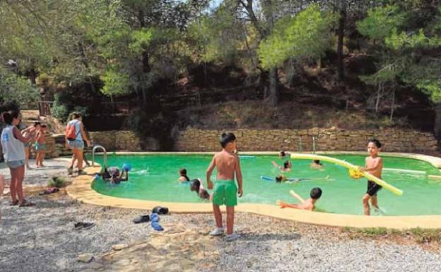 Fundación Trinitario Casanova se lleva a los más pequeños de campamento medioambiental