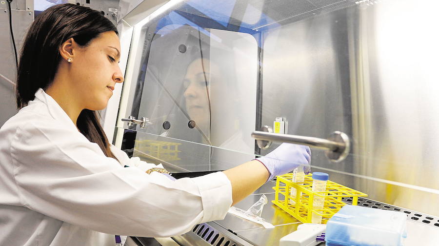 Una investigadora trabaja en las instalaciones del Laboratorio de Investigación Biosanitaria de la UMU.