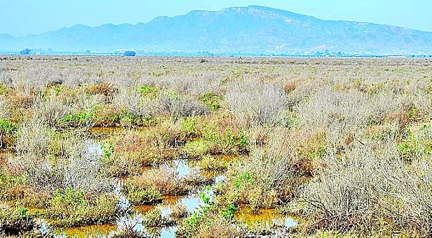 Una parte de la finca La Alcanara, con surgencia de aguas.
