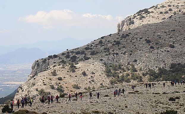 Imagen principal - Un numerosísimo grupo de senderistas recorre la zona del Morrón de Alhama, hace un par de fines de semana, espantando a la fauna del parque. Un escalador, en el Rincón de las Cuevas, en Benizar. Uno de los carteles sobre las restricciones temporales a la escalada en Calblanque.