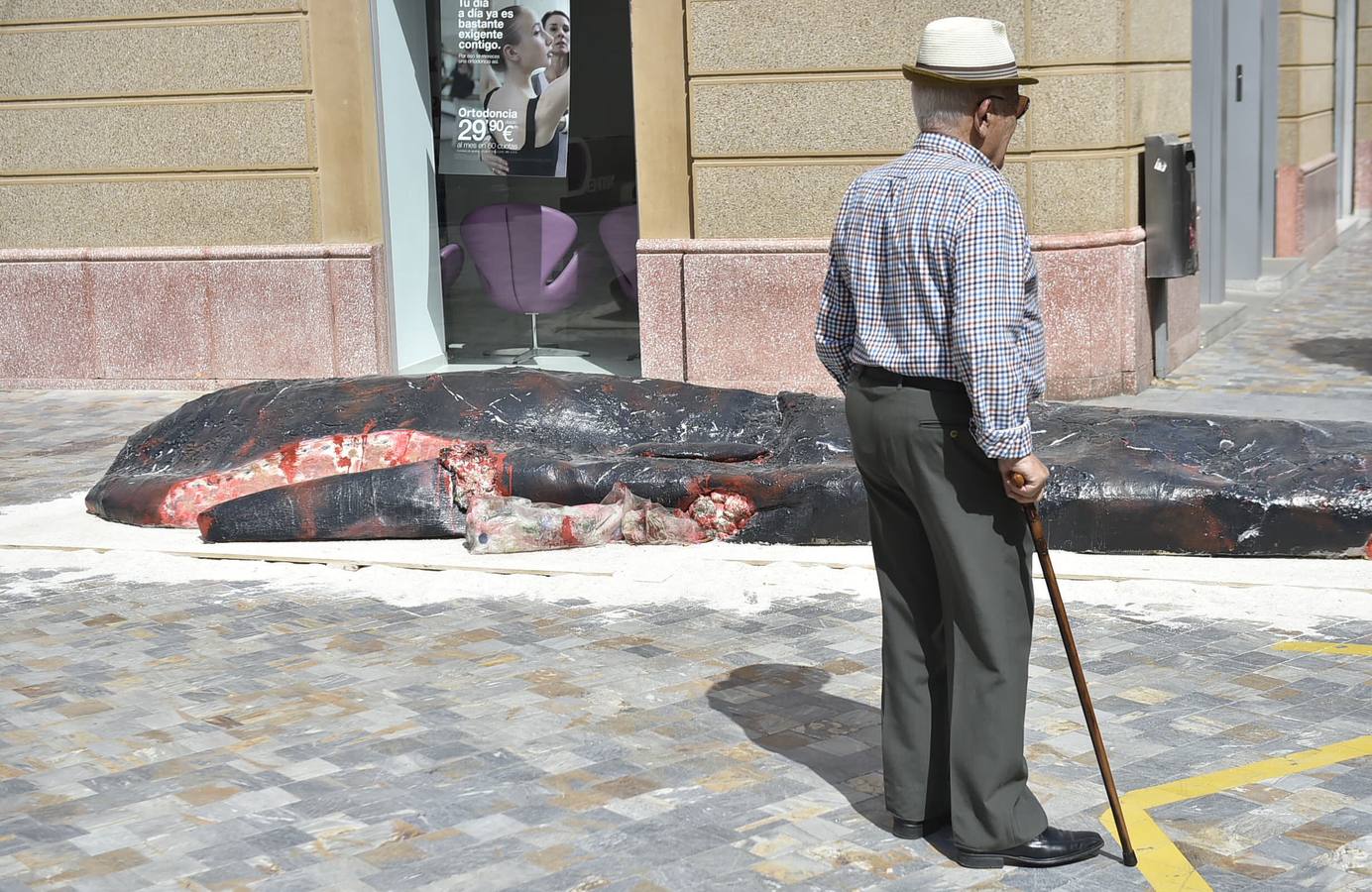 Belén Orta recrea en Cartagena el cetáceo que murió por indigestión de basura marina