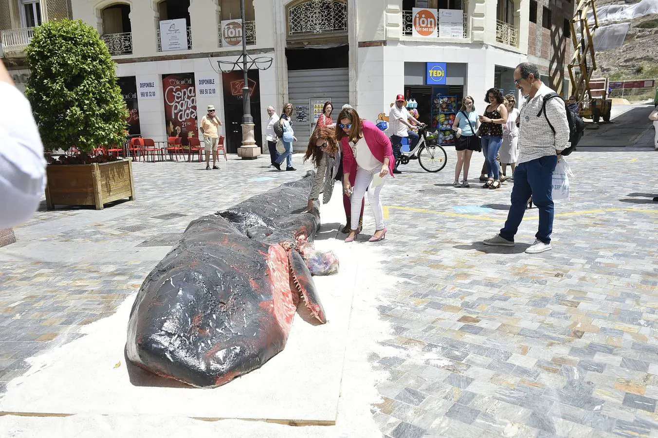 Belén Orta recrea en Cartagena el cetáceo que murió por indigestión de basura marina
