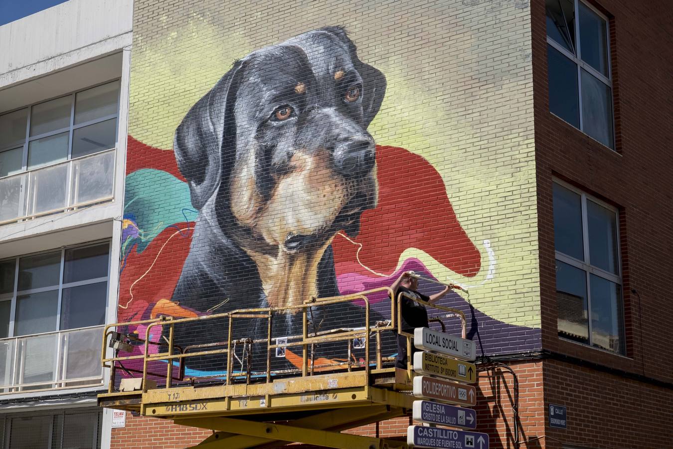Decorado de fantasía en Cartagena para la vida cotidiana