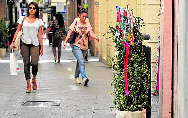 Árboles en las puertas de los comercios para anunciar el 'Shopping Day'.
