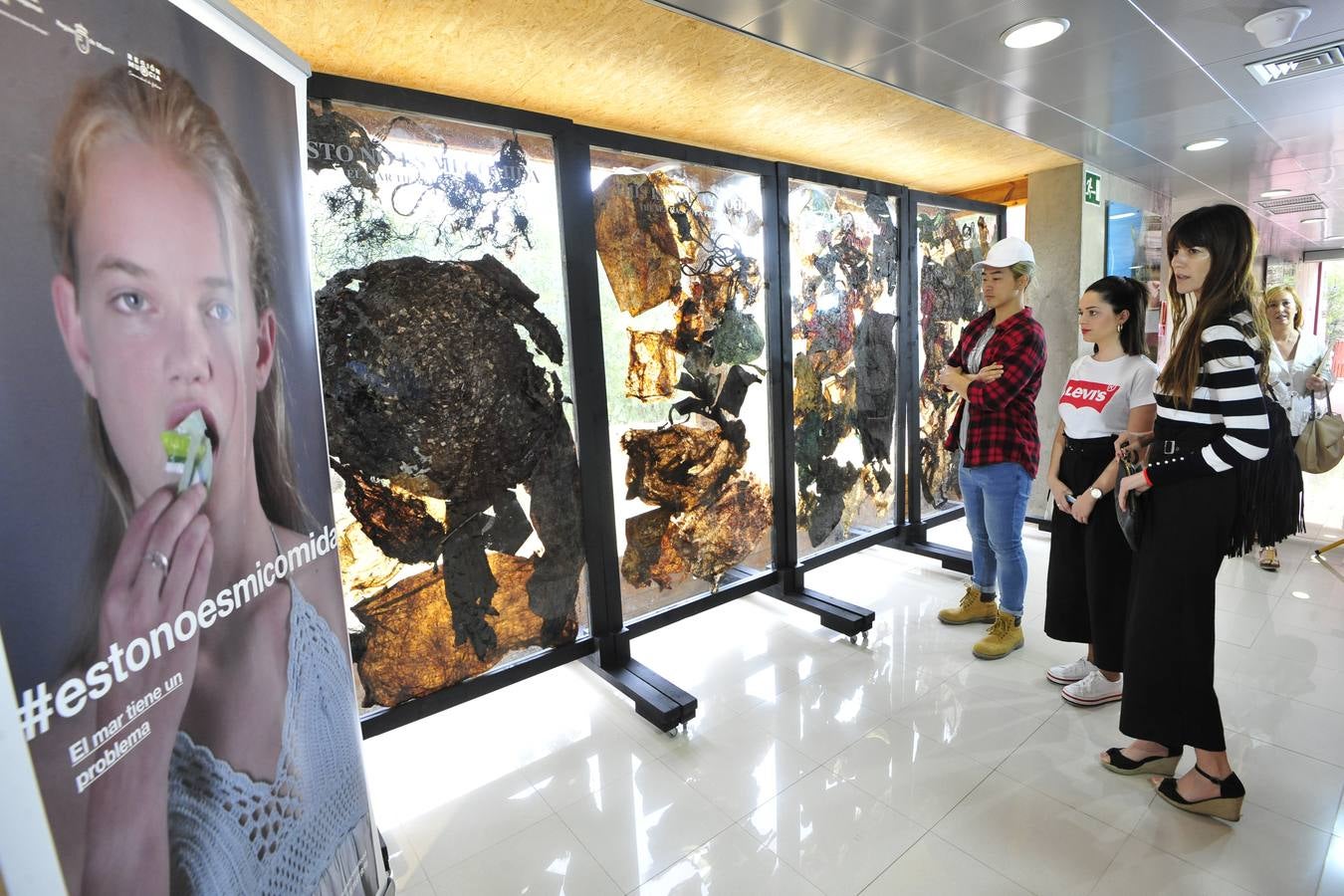 Medio Ambiente encapsula en unos paneles de metacrilato los 29 kilos de residuos que causaron la muerte a un cachalote