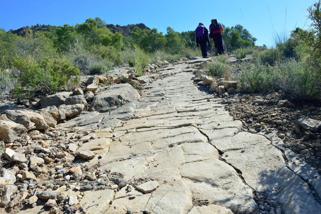 El Ayuntamiento de Alhama restaura la Red de Senderos de la sierra, un patrimonio común que estaba perdido