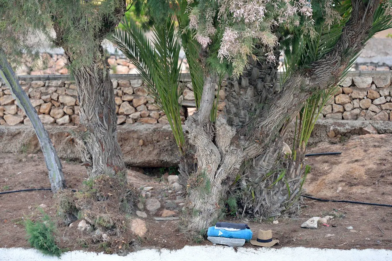 El paseo se inicia en el aparcamiento de Mil Palmeras, situado en primera línea de la playa del Río Seco.