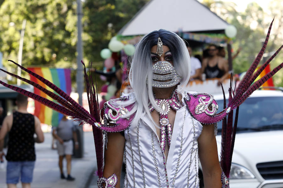 Las asociaciones que trabajan en la Región contra la discriminación sexual reivindican en una manifestación-desfile por la ciudad la educación afectiva para combatir la violencia social y los delitos de odio contra gays, lesbianas y transexuales