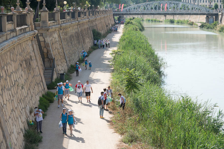 Participan en Murcia en una actividad de limpieza del Segura, desde la Contraparada hasta la Fica