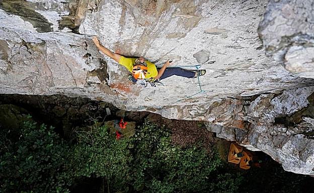 Imagen principal - Imágenes de los primeros días de la expedición en la isla de Santo Tomé y Príncipe.