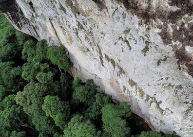 Imagen secundaria 1 - Imágenes de los primeros días de la expedición en la isla de Santo Tomé y Príncipe.