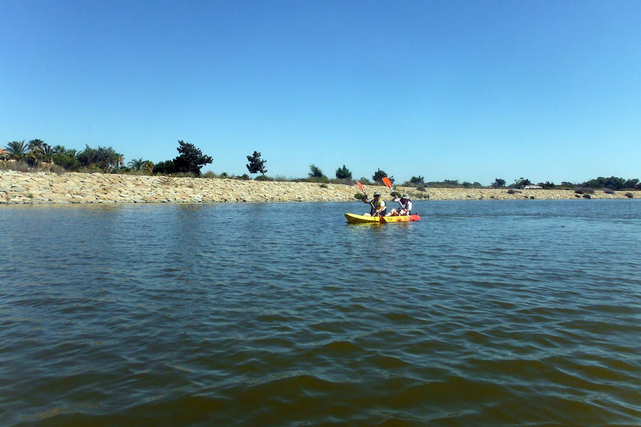 Singladura a remo por la desembocadura del Segura con paseo y desembarco en las dunas de la playa dels Tossals