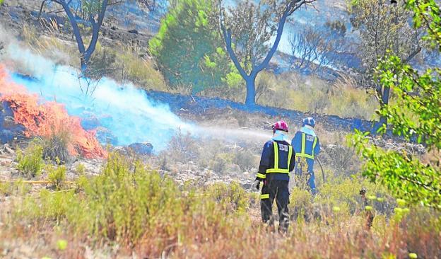 Varios bomberos sofocan las llamas sobre el terreno, ayer. 