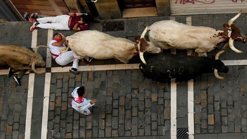 Los astados protagonizan una carrera rápida con algunos momentos de tensión