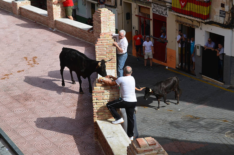 Miles de vecinos y visitantes abarrotaron las calles para no perderse la carrera