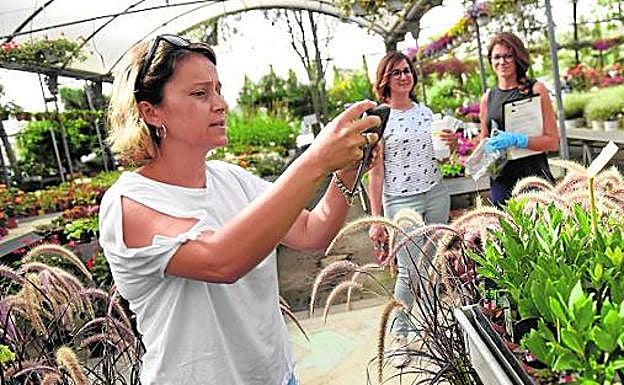 Luisa Pérez, técnico de Tragsa, junto a sus compañeras Patricia Segui y Mamen Sánchez durante la inspección realizada a Viveros Murcia. 