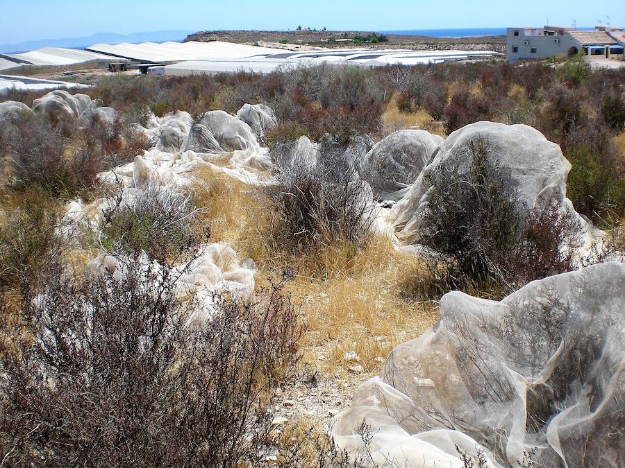 El parque regional Cabo Cope-Puntas de Calnegre es el tramo costero del país más contaminado por residuos plásticos